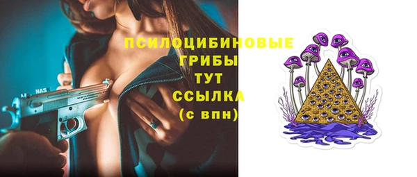 ПСИЛОЦИБИНОВЫЕ ГРИБЫ Михайлов