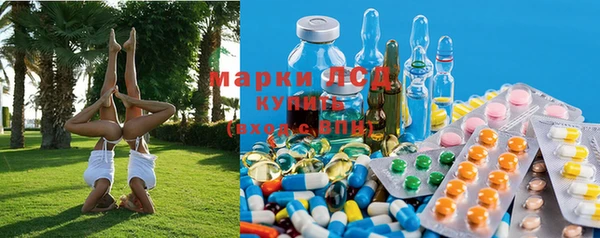 ПСИЛОЦИБИНОВЫЕ ГРИБЫ Михайлов