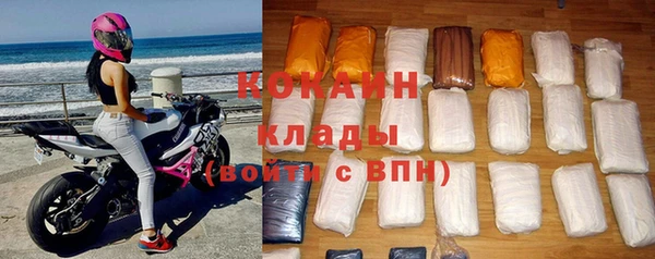 ПСИЛОЦИБИНОВЫЕ ГРИБЫ Михайлов