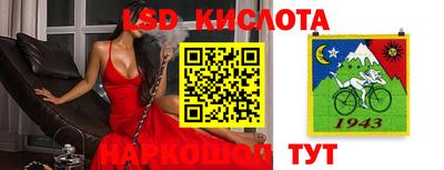 стаф Гагарин