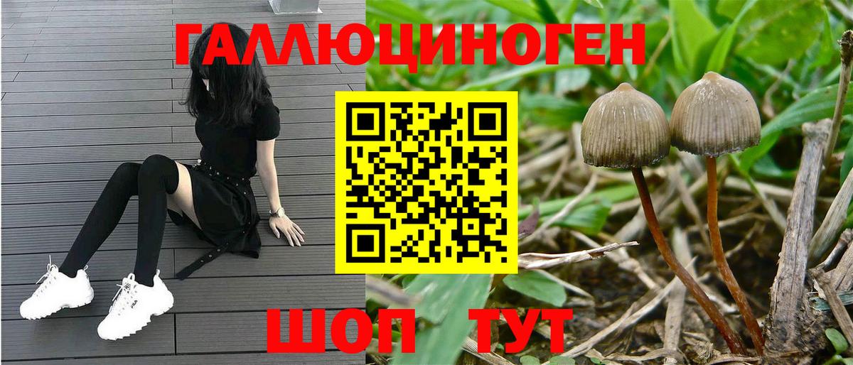 Кулебаки  Псилоцибиновые грибы ЛСД  Галлюциногенные грибы мухоморы  Вход с VPN 