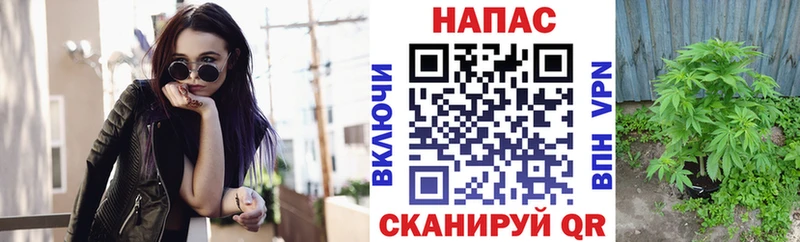 Шишки марихуана ГИДРОПОН  Кулебаки 